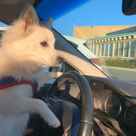 Meet your Posher, Debranne - Picture 7 of 15